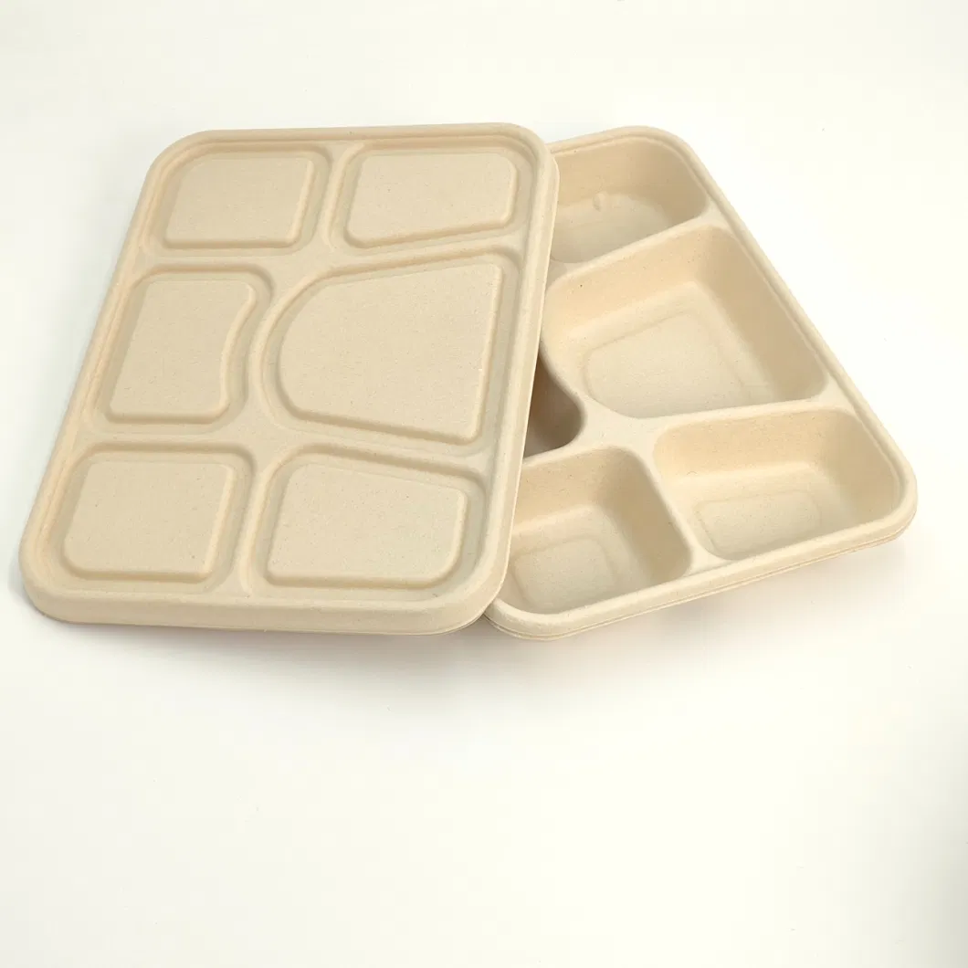 Biodegradable Tableware to Go Disposable Carry-out Compostable Sugarcane Food Container Take Away Lunch Packaging Pulp 3/4/5/6 Compartment Bagasse Box/Tray Box