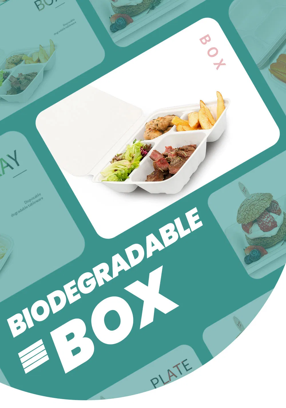 Disposable Paper Lunch Box Biodegradable Sugarcane Bagasse Clamshell Burger Take out Boxes