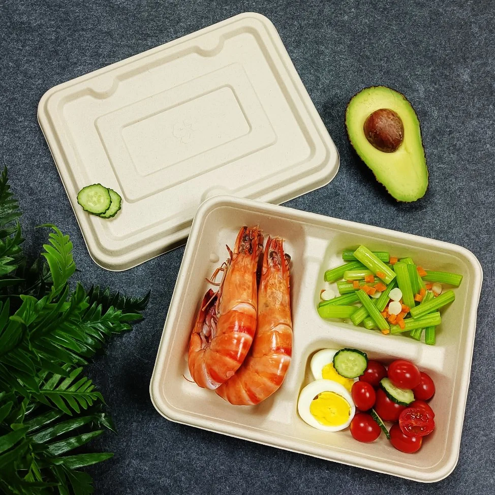 Biodegradable Tableware to Go Disposable Carry-out Compostable Sugarcane Food Container Take Away Lunch Packaging Pulp 3/4/5/6 Compartment Bagasse Box/Tray Box