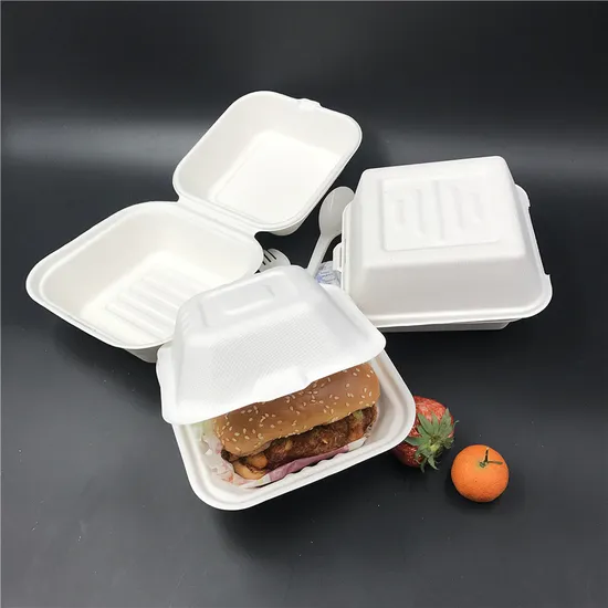 Burger Bento Sugarcane Bagasse Plup Container Foam Containers Food Box 