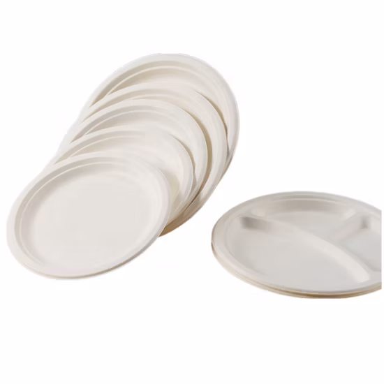 Degradable Sugarcane Bagasse Disposable Cutlery Fast Food Takeout Disposable Tableware Food Container Fit for Variety Occasion