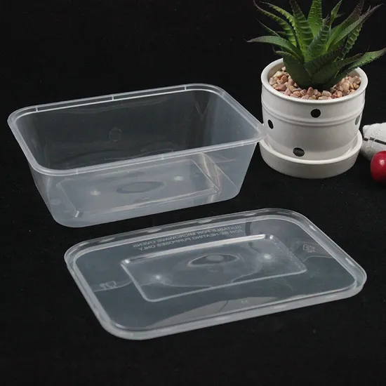 Disposable Plastic Tableware 500/650/750/1000ml PP Plastic Food Container with Lid Transparent Takeway for Dinner 