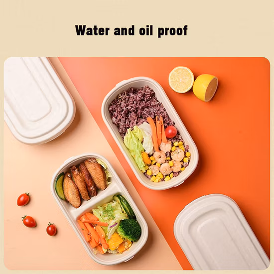 Biodegradable Tableware Food Container Wholesale Cornstarch Surgarcane Bagasse Pulp Clamshell with Lid Restaurant Meal Prep to Go Lunch Take Away