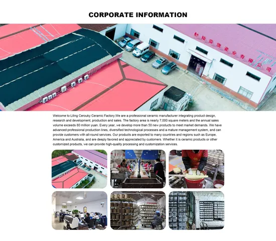 European Style Fatty Mug Design Ceramic Cup Simple Coffee Mug Couple Cups Drinkware 